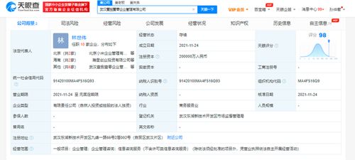 小米斥資20億在武漢成立企業(yè)管理公司，雷軍疑似實(shí)控人